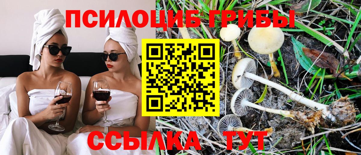 Кушва  Галлюциногенные грибы мухоморы  Вход с VPN 